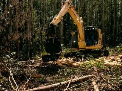 Land Clearing Services Cleveland in Cleveland